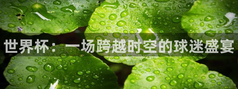世界杯直播观看：世界杯：一场跨越时空的球迷盛宴