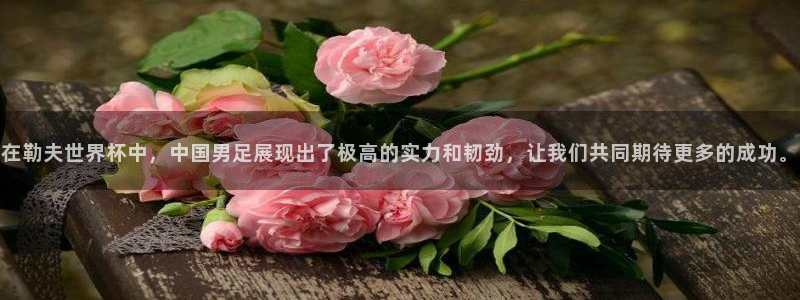 世界杯赛程表:在勒夫世界杯中,中国男足展现出了极高的实力和韧劲,让我们共同期待更多的成功。