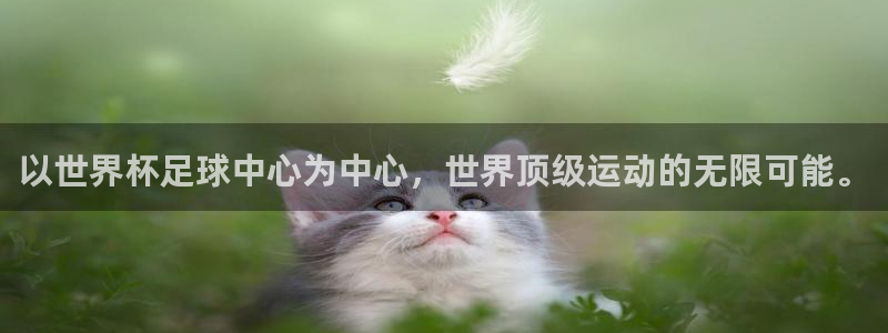世界杯预选赛直播：以世界杯足球中心为中心，世界顶级运动的无限可能。
