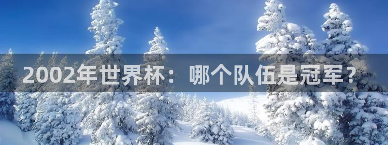 2026世界杯亚洲预选赛赛程：2002年世界杯：哪个队伍是冠军？