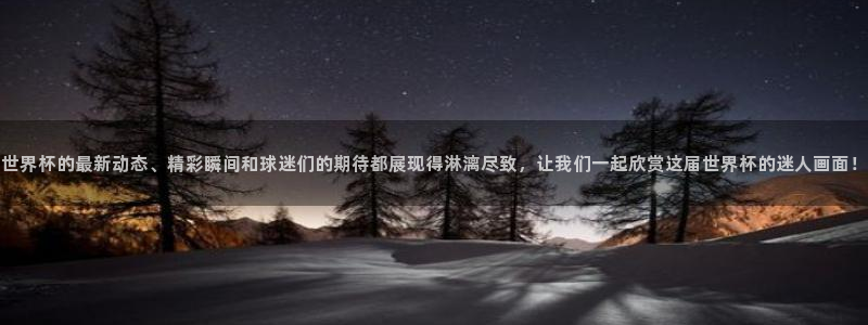 看世界杯：世界杯的最新动态、精彩瞬间和球迷们的期待都展现得淋漓尽致，让我们一起欣赏这届世界杯的迷人画面！