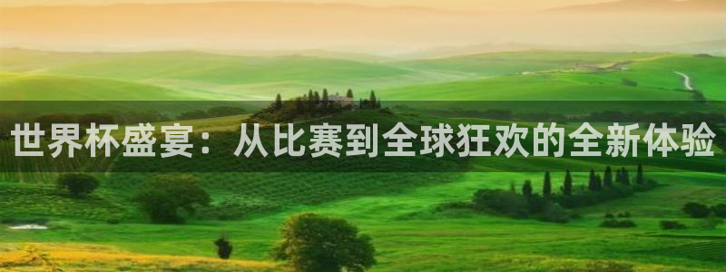 足球世界杯预选赛：世界杯盛宴：从比赛到全球狂欢的全新体验