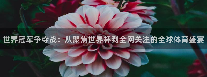 世界杯预赛赛程：世界冠军争夺战：从聚焦世界杯到全网关注的全球体育盛宴
