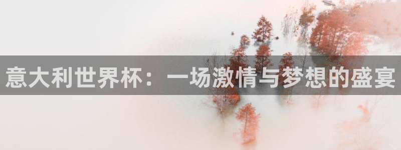 世界杯赛程表2026：意大利世界杯：一场激情与梦想的盛宴