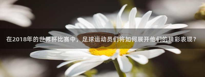 葡萄牙世界杯赛程：在2018年的世界杯比赛中，足球运动员们将如何展开他们的精彩表现？