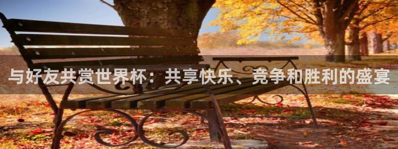 世界杯系列赛：与好友共赏世界杯：共享快乐、竞争和胜利的盛宴