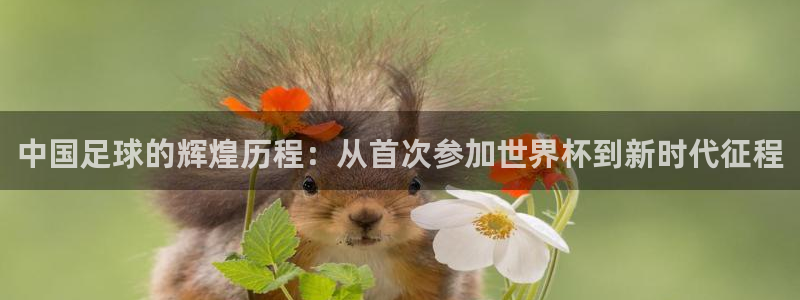世界杯直播免费观看:中国足球的辉煌历程:从首次参加世界杯到新时代征程