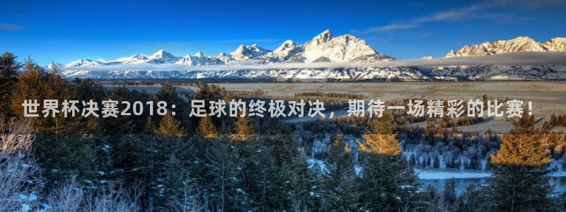 世俱杯直播：世界杯决赛2018：足球的终极对决，期待一场精彩的比赛！