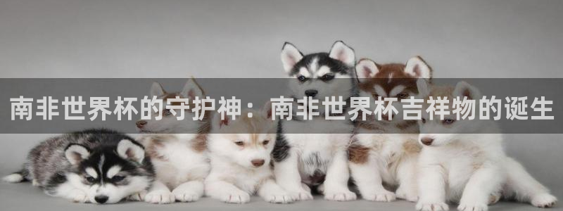 2026世预赛全部赛程：南非世界杯的守护神：南非世界杯吉祥物的诞生