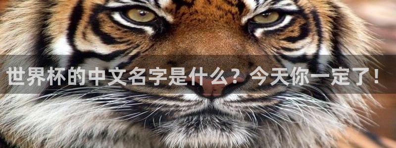 英格兰联赛杯直播：世界杯的中文名字是什么？今天你一定了！