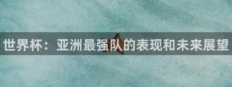 世界杯足球比赛：世界杯：亚洲最强队的表现和未来展望