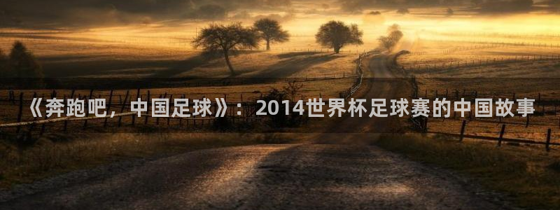 2026足球世界杯赛程：《奔跑吧，中国足球》：2014世界杯足球赛的中国故事