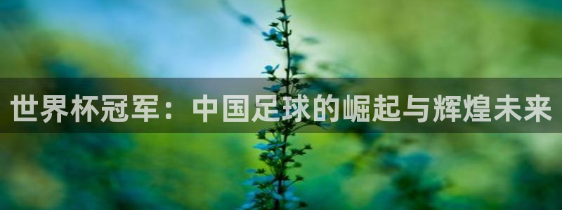 亚洲杯足球：世界杯冠军：中国足球的崛起与辉煌未来