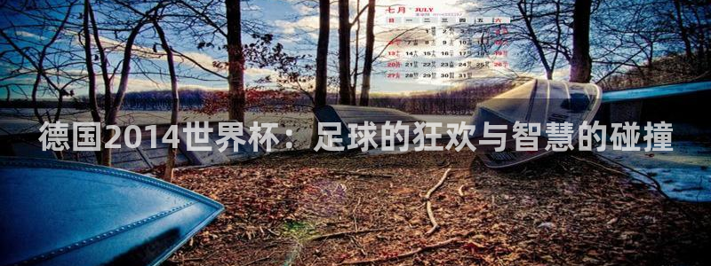 足球比分直播世界杯：德国2014世界杯：足球的狂欢与智慧的碰撞